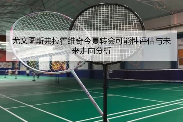 尤文图斯弗拉霍维奇今夏转会可能性评估与未来走向分析